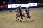 Quadrille - 00357